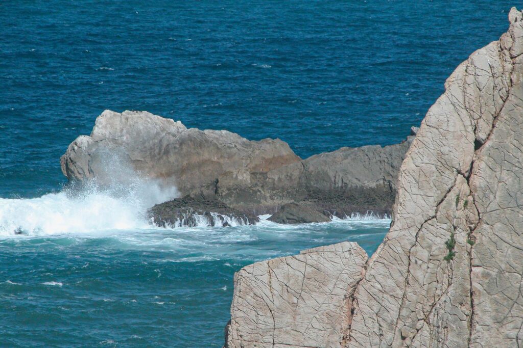 Fotografia de Francesc Magem Casasayas
