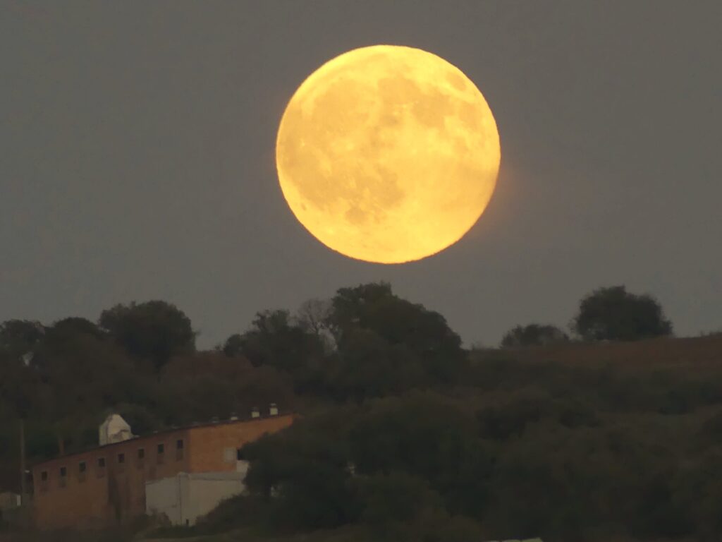 Fotografia de Miquel Carbonell Bernardó