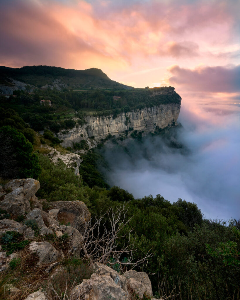 Fotografia de Francesc Hervias