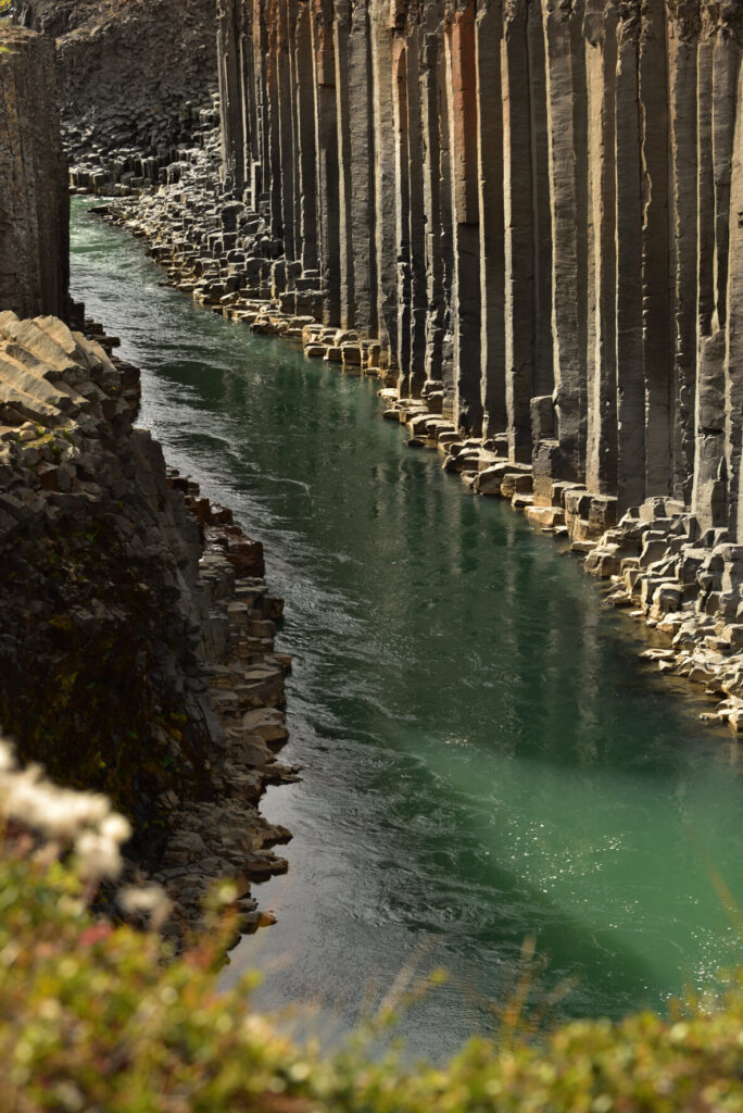 Fotografia de Joan Ribera