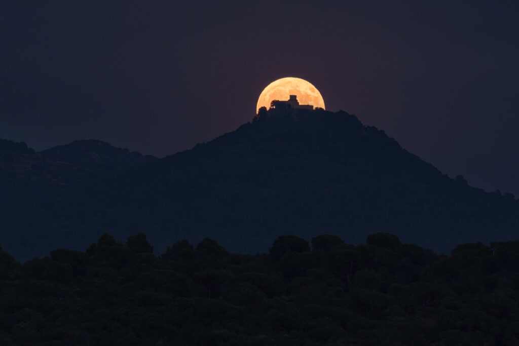 Fotografia de Francesc Hervias