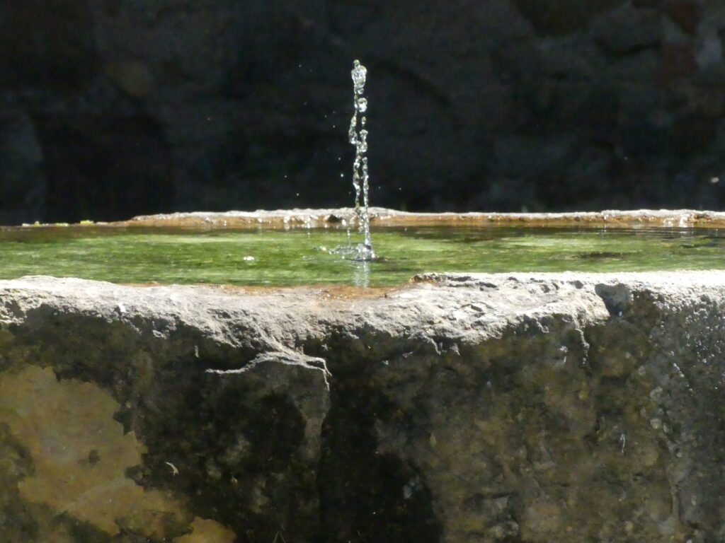 Fotografia de Miquel Carbonell Bernardó
